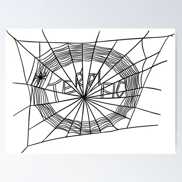 Text 'Terrific' is woven into a spider web. From the novel Charlotte's Weby by E.B. White. In a blog post by In Around the Middle @ aroundthemiddle.com titled Best Back to School Books for Grades 2-4: How to Choose the RIght Class Text
